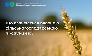 images/2025/NOVUNU/Serpen/0408/SG.jpg